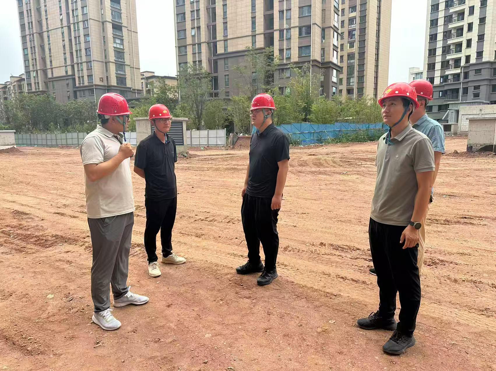 中共商洛市城投工程公司支部委員會(huì)開展“黨員先鋒在行動(dòng) 攻堅(jiān)克難顯擔(dān)當(dāng)”主題黨日活動(dòng)